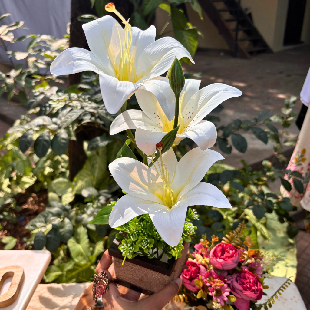 White Ever Lasting Bloom (3 Flowers)