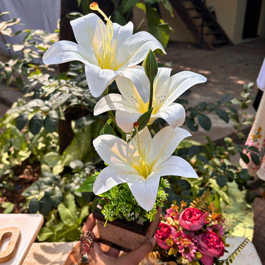 White Ever Lasting Bloom (3 Flowers)